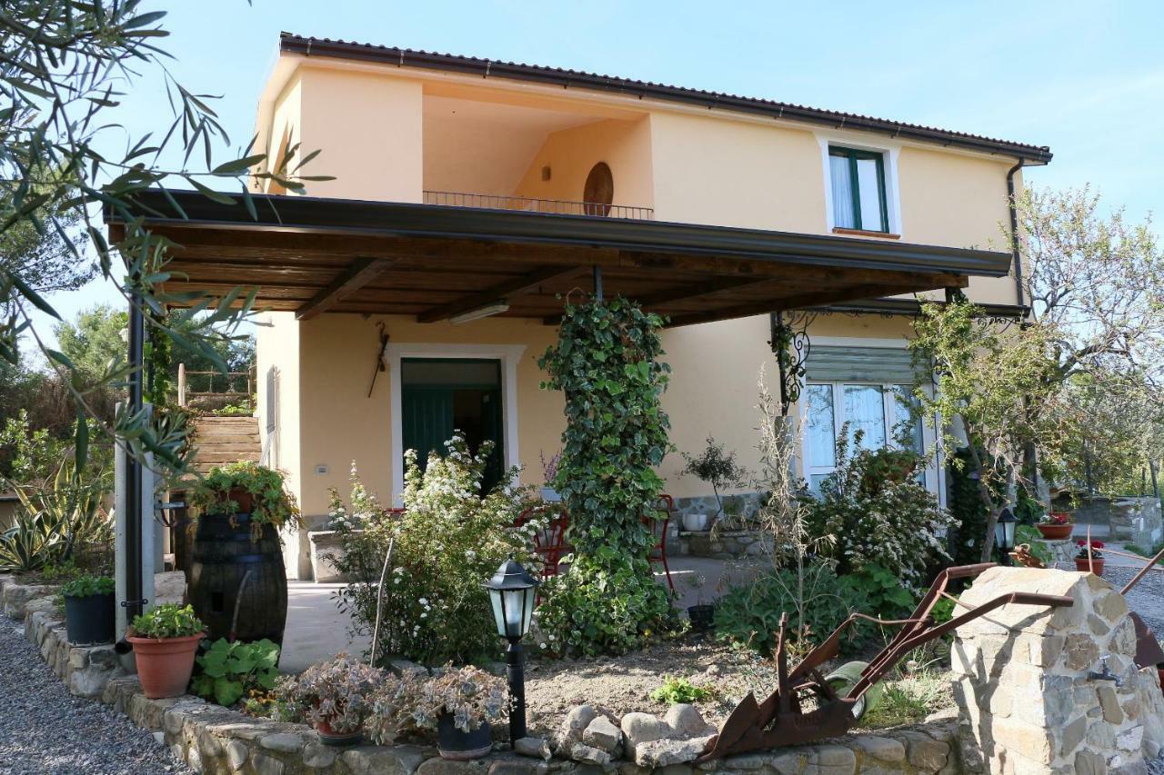 B&B Il Vigneto Trebisacce Esterno foto