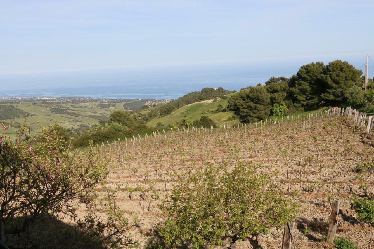 B&B Il Vigneto Trebisacce Esterno foto