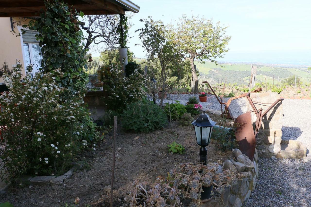 B&B Il Vigneto Trebisacce Esterno foto