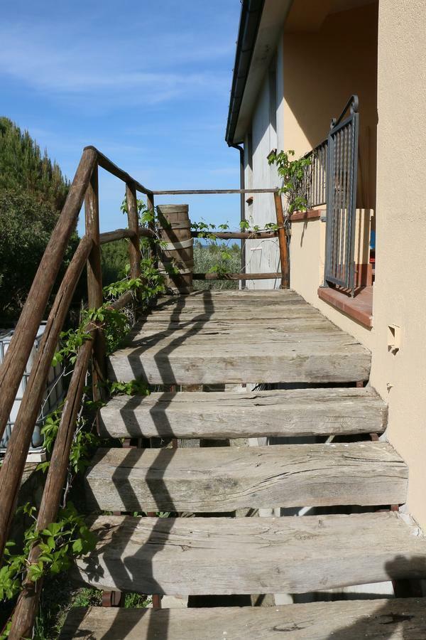 B&B Il Vigneto Trebisacce Esterno foto