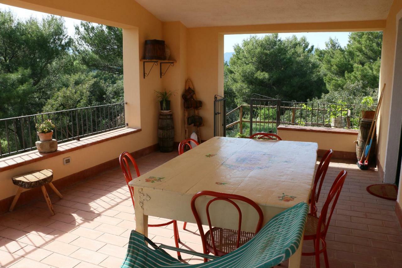 B&B Il Vigneto Trebisacce Esterno foto